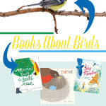 Books About Birds - A book list all about birds!